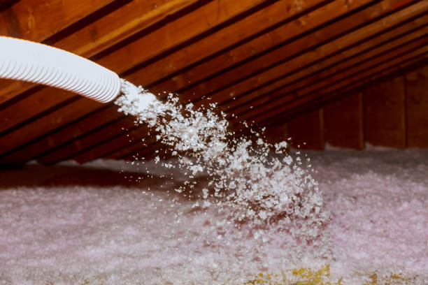 Best Geographic-Specific Insulation Services in Avila Beach, CA