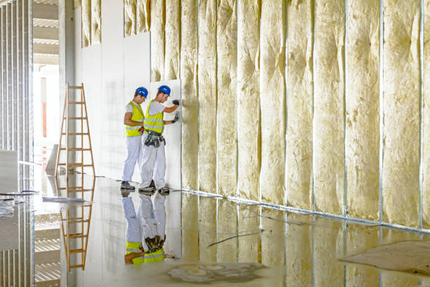 Types of Insulation We Offer in Avila Beach, CA